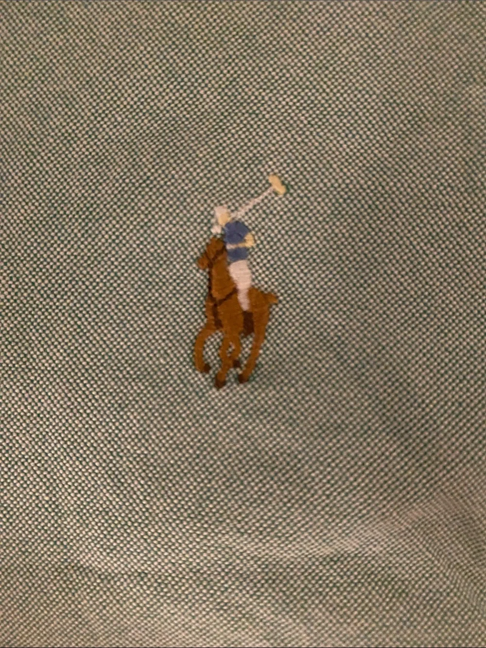 Polo by Ralph Lauren Light Mint Button-Up Shirt Jacket